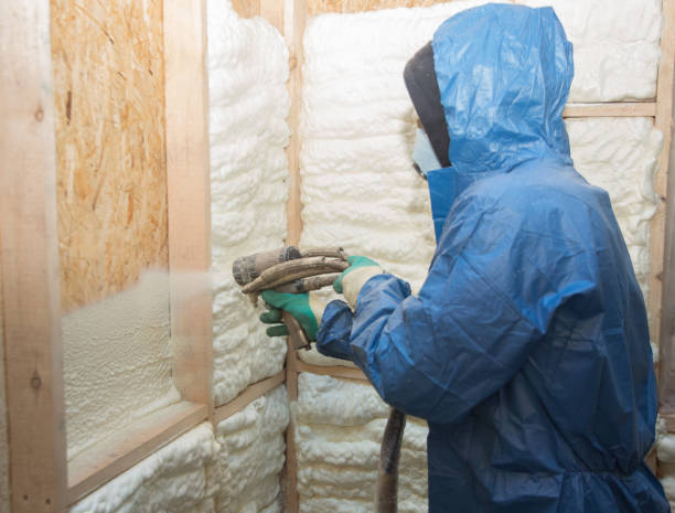 Types of Insulation We Offer in Farmers Branch, TX